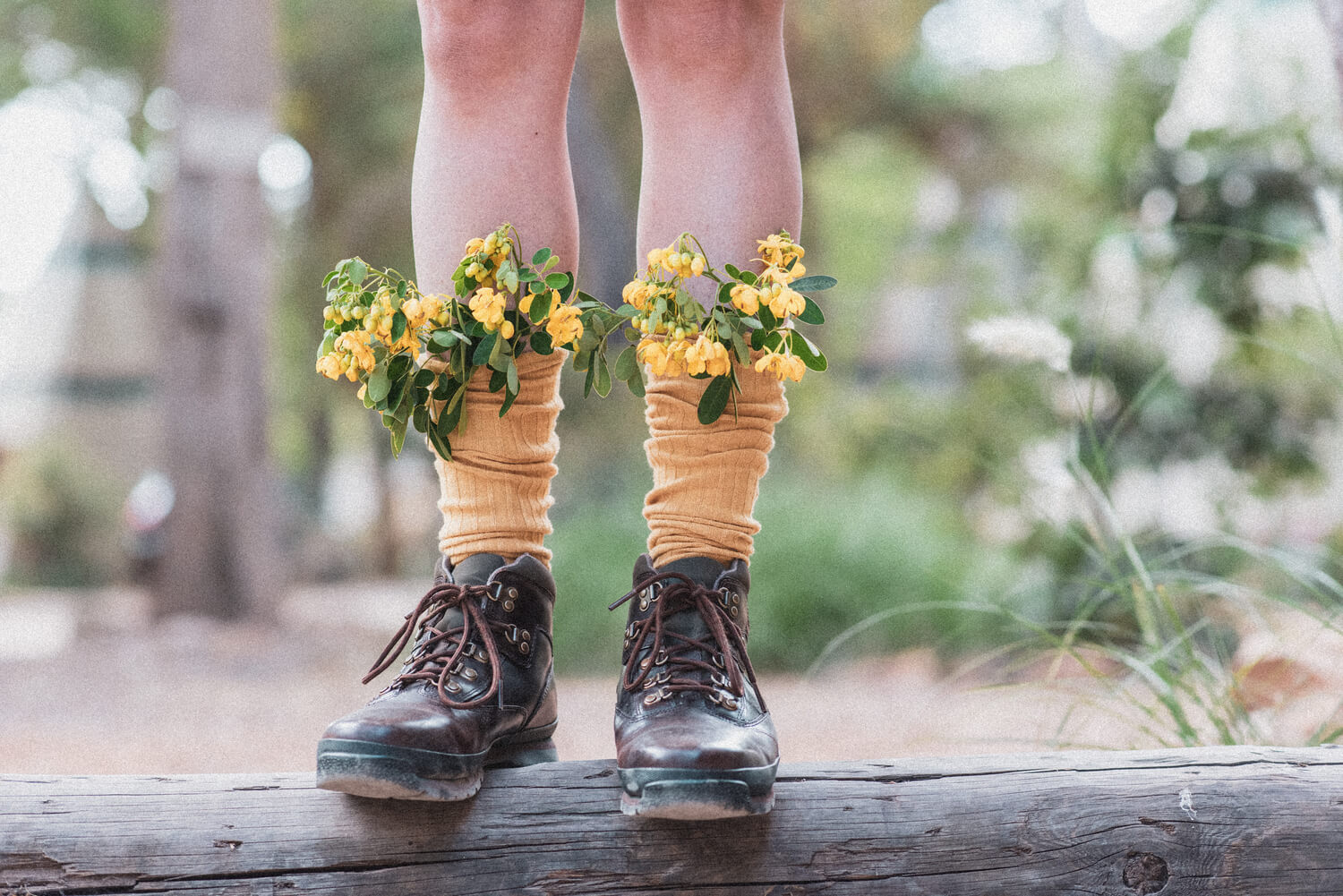 Foto de uma pessoa com os pés apoiados num tronco de madeira, com flores em volta das suas meias