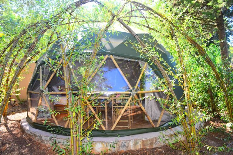 Willow Tree Dome visão externa